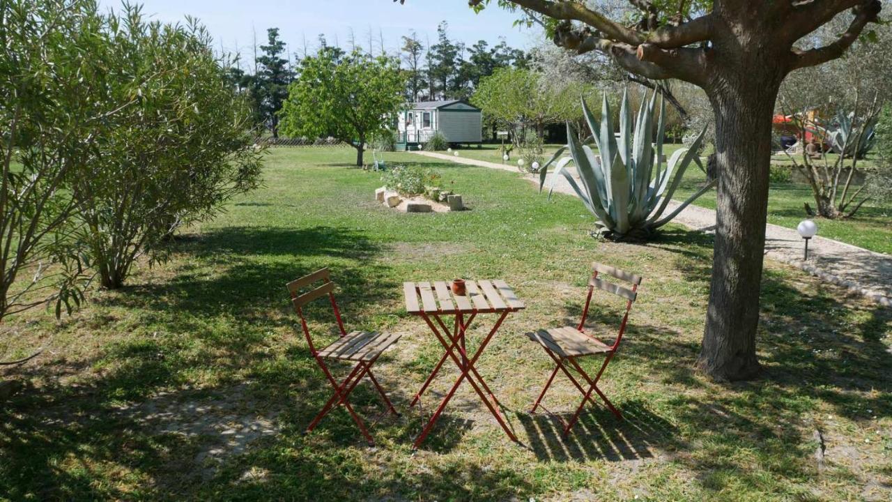 Apartamento Mas Maurane - Les Lavandes Aux Portes D'Arles Tarascón Exterior foto