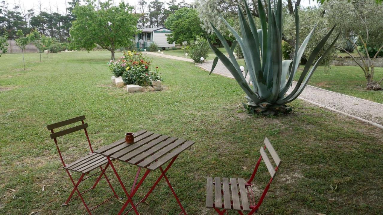 Apartamento Mas Maurane - Les Lavandes Aux Portes D'Arles Tarascón Exterior foto